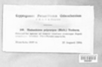 Image Associated With the Occurence